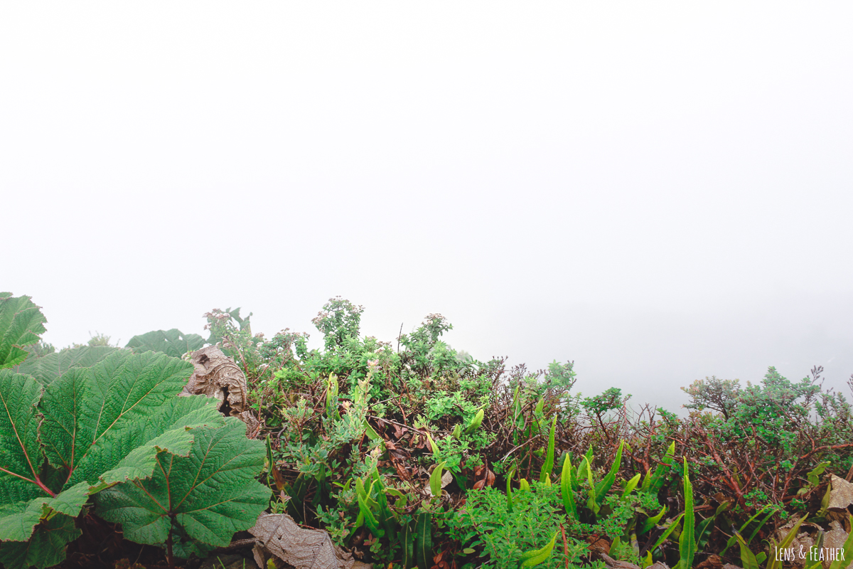 Fog covering Laguna Botos in Costa Rica