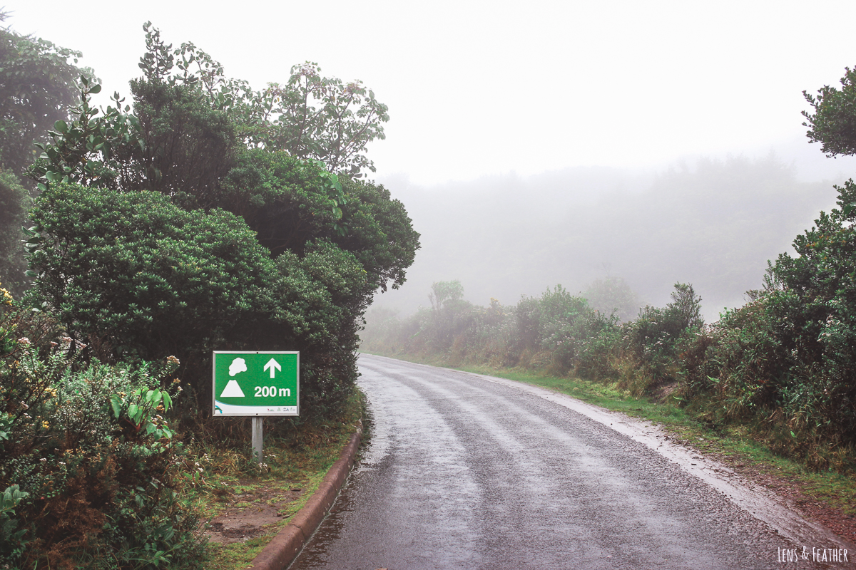 Path to the main crater of Poas Volcano